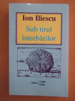 Ion Iliescu - Sub tirul intrebarilor