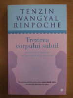 Tenzin Wangyal Rinpoche - Trezirea corpului subtil