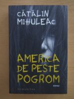 Catalin Mihuleac - America de peste Pogrom