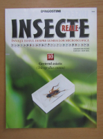 Insecte reale, volumul 10. Greierul asiatic