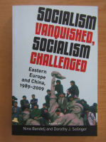 Nina Bandelj - Socialism Vanquished, Socialism Challenged