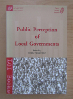 Public Perception of Local Governments