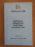 Anticariat: Social Protection a Bilingual Glossary (volumul 2)