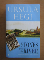 Anticariat: Ursula Hegi - Stones from the River