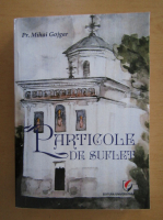 Mihai Gojgar - Particole de suflet