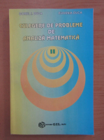 Dorel Duca - Culegere de probleme de analiza matematica (volumul 2)