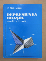 Elena Mihai - Depresiunea Brasov