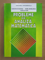 Gheorghe Budianu - Probleme de analiza matematica