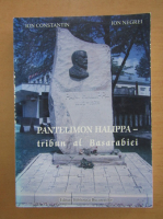 Ion Constantin - Pantelimon Halippa, tribun al Basarabiei