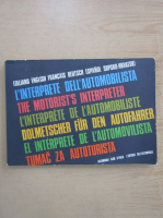 L'interprete dell'automobilista