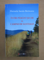 Manuela Sanda Bacaoanu - Intre Pamant si Cer, pe Camino de Santiago