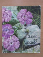 Mircea Bichiceanu - Blumen aus Rumanien
