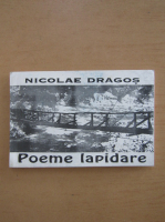 Nicolae Dragos - Poeme lapidare