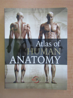 Atlas of Human Anatomy
