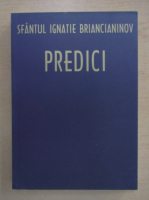 Ignatie Briancianinov - Predici