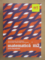 Marian Andronache - Matematica M2