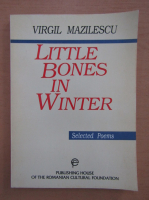 Virgil Mazilescu - Little Bones in Winter