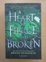 Brigid Kemmerer - A Heart so Fierce and Broken
