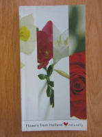 Flowers from Holland