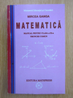 Mircea Ganga - Matematica. Manual pentru clasa IX. Trunchi comun