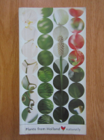 Plants from Holland