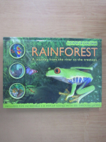 Rainforest. A journey from the river to the treetops