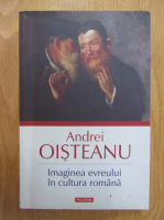 Andrei Oisteanu - Imaginea evreului in cultura romana
