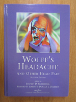 Stephen D. Silberstein - Wolff's Headache and other head pain