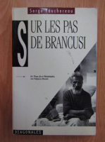 Serge Fauchereau - Sur les pas de Brancusi