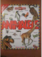 Descopera lumea animalelor
