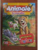 Animale fericite. Distractie in culori