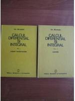 Anticariat: Gheorghe Siretchi - Calcul diferential si integral (2 volume)