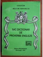 Mic dictionar de proverbe engleze