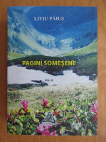 Liviu Paius - Pagini somesene (volumul 3)