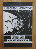 Ilie Popescu, Ion Cozmei - Drumul spre Golgota
