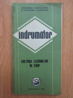 Indrumator. Cultura legumelor in camp