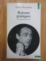 Pierre Bourdieu - Raisons pratiques