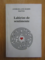 Andrada Ane Marie Maftei - Labirint de sentimente