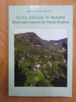 Ion Gh. Ceausu - Satul Gavane in imagini. Bisericutele rupestre din Muntii Buzaului