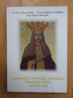 Stancu Sabin, Dumitrescu Catalina, Dinca Gheorghe - Seminarul teologic ortodox Neagoe Voda