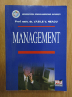 Vasile V. Neagu - Management