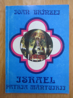 Ioan Brinzei - Israel. Patria mantuirii