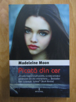 Anticariat: Madeleine Moon - Picata din cer