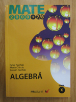 Petre Nachila, Marin Chirciu, Catalin Nachila - Algebra. Clasa a X-a