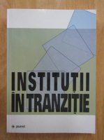 Adrian Miroiu - Institutii in tranzitie