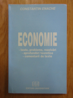Constantin Enache - Economie