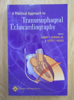 Albert C. Perrino Jr. - Transesophageal Echocardiography