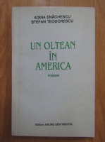 Anticariat: Adina Al. Enachescu, Stefan D. Teodorescu - Un oltean in America