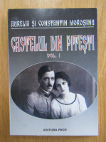 Aurelia Morosanu, Constantin Morosanu - Castelul din Pitesti (volumul 1)
