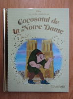 Cocosatul de la Notre Dame
